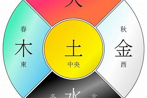 己未 五行|己未年五行属什么